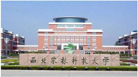 2024澳门原料网1688历史记录